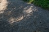 2017-08-21 Eclipse 124